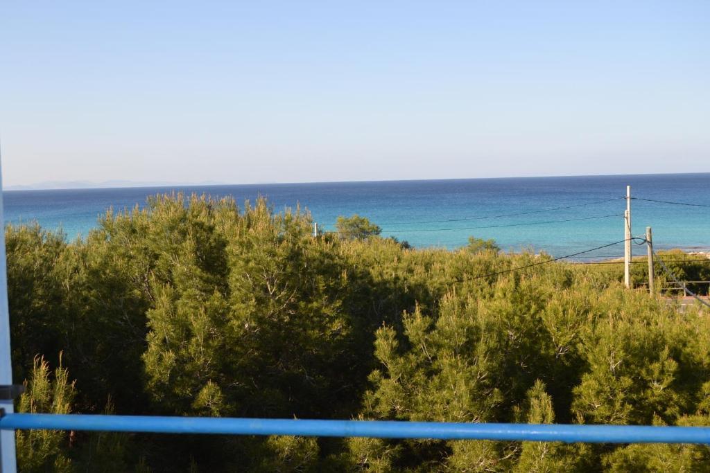 Appartement Cas Xurrac Es Caló